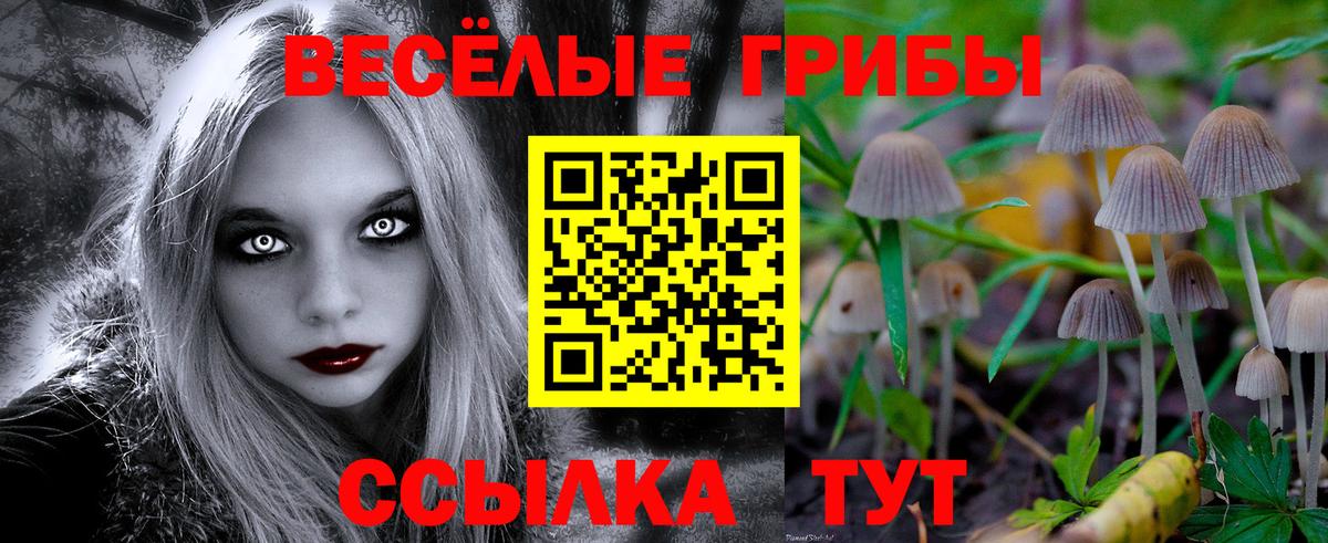 как найти закладки  Галлюциногенные грибы ЛСД  Вход с VPN  Галлюциногенные грибы GOLDEN TEACHER  Кудымкар 